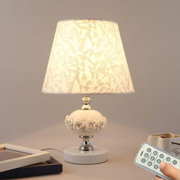 家和灯饰产品及加盟店 照亮家居与商业前景